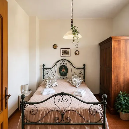 Speranza * Volterra